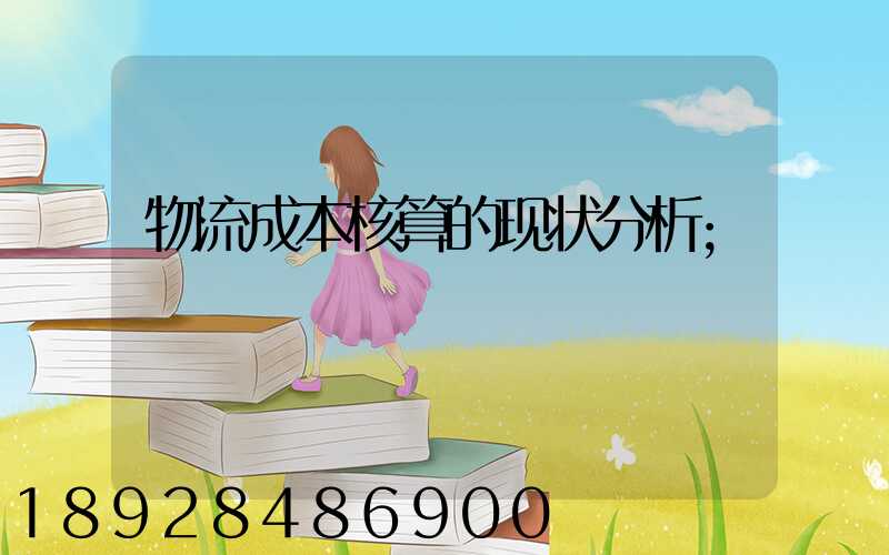 物流成本核算的现状分析