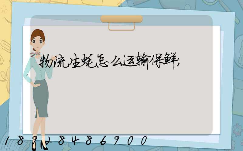 物流生蚝怎么运输保鲜