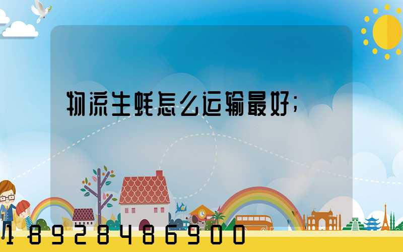 物流生蚝怎么运输最好