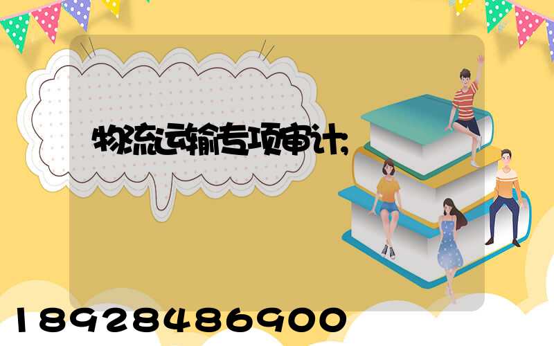 物流运输专项审计