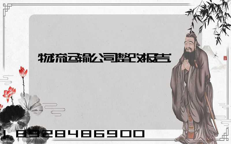 物流运输公司整改报告