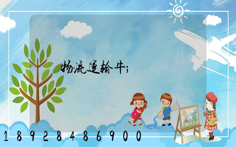 物流运输牛