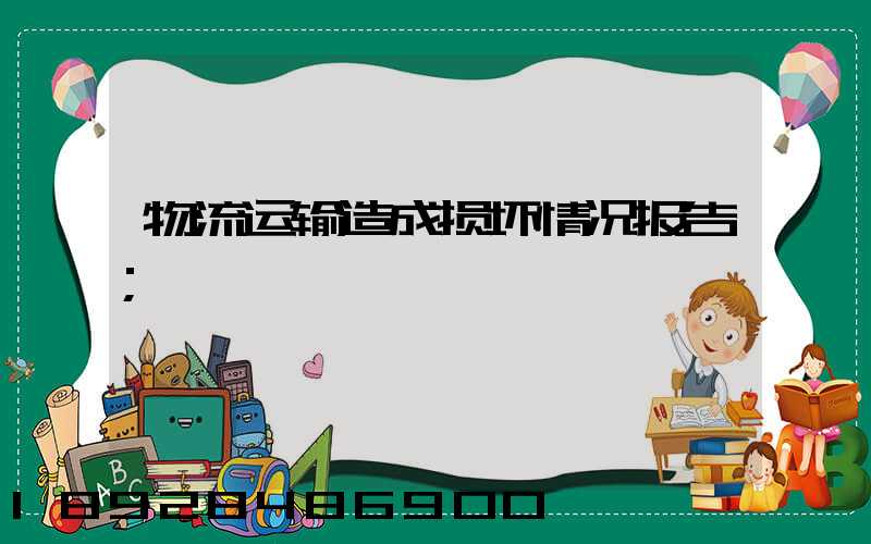物流运输造成损坏情况报告