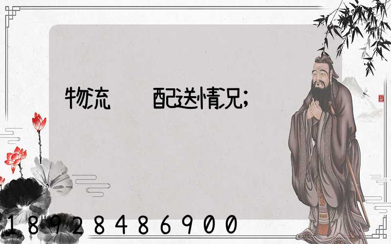 物流运输配送情况