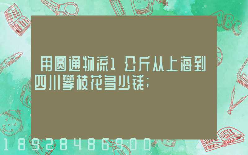 用圆通物流1公斤从上海到四川攀枝花多少钱