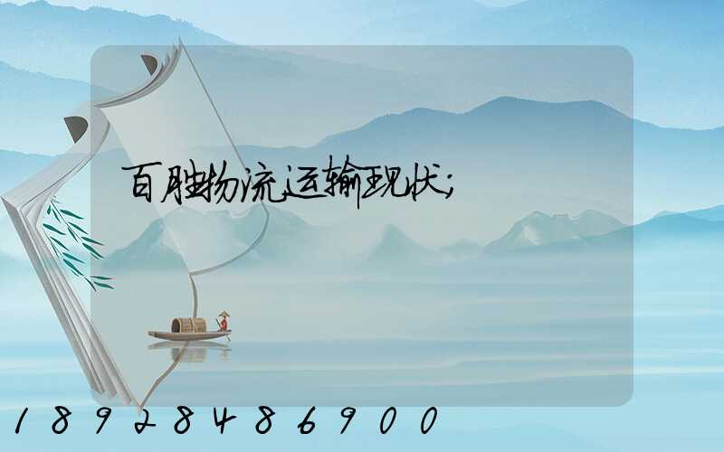 百胜物流运输现状