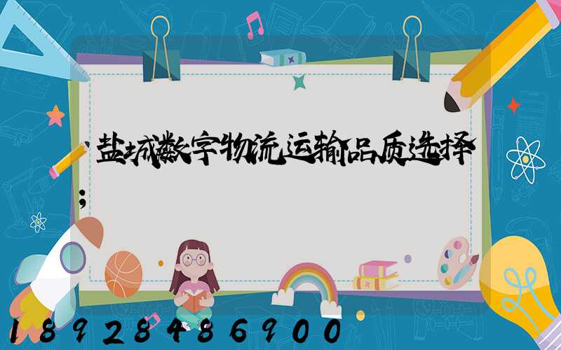 盐城数字物流运输品质选择