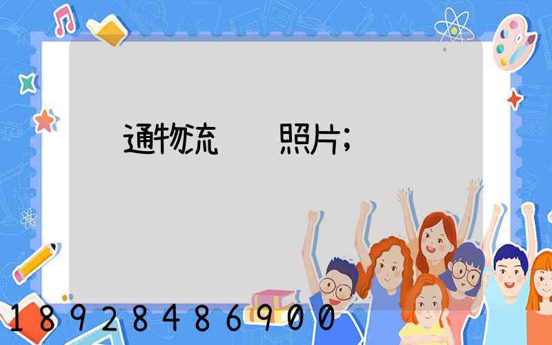 绿通物流运输照片