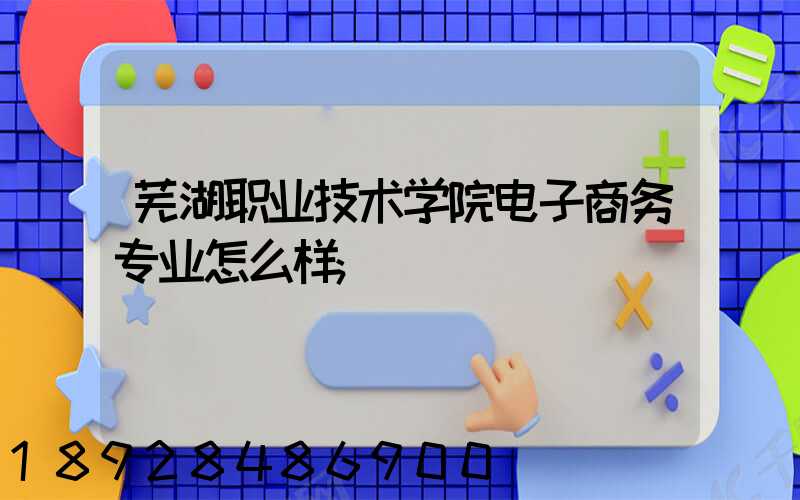 芜湖职业技术学院电子商务专业怎么样