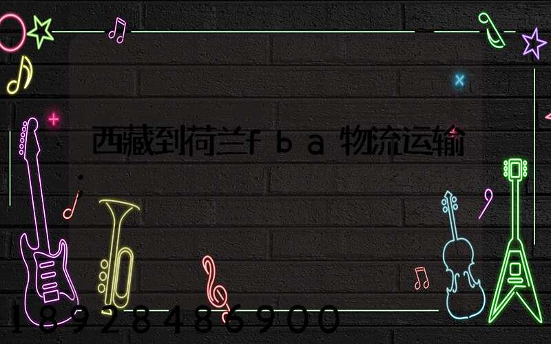 西藏到荷兰fba物流运输