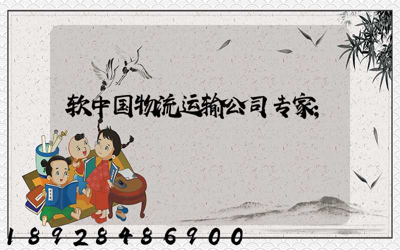 软中国物流运输公司专家