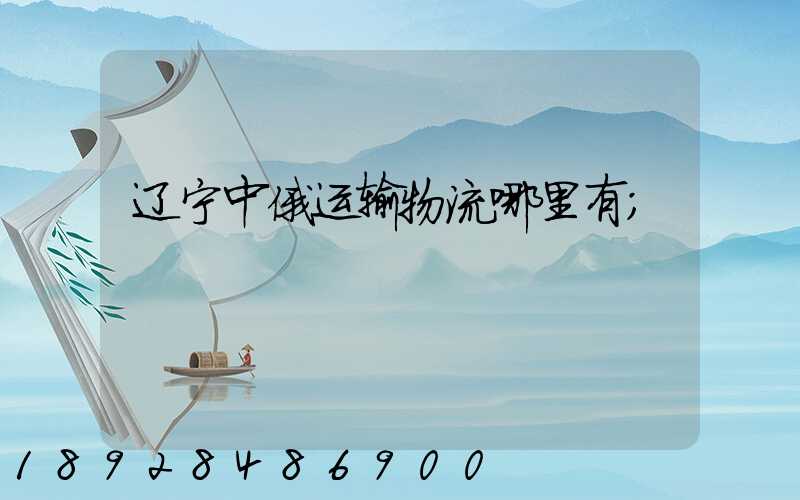 辽宁中俄运输物流哪里有