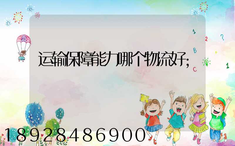 运输保障能力哪个物流好