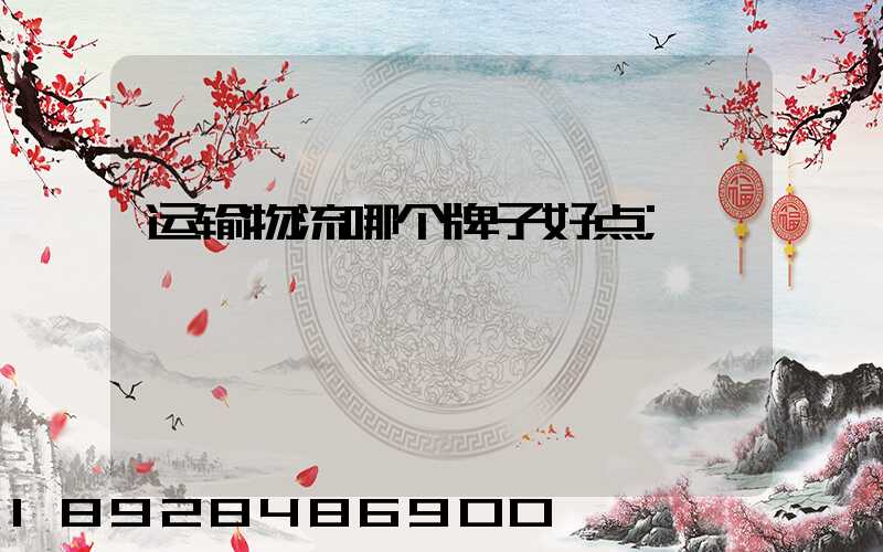 运输物流哪个牌子好点