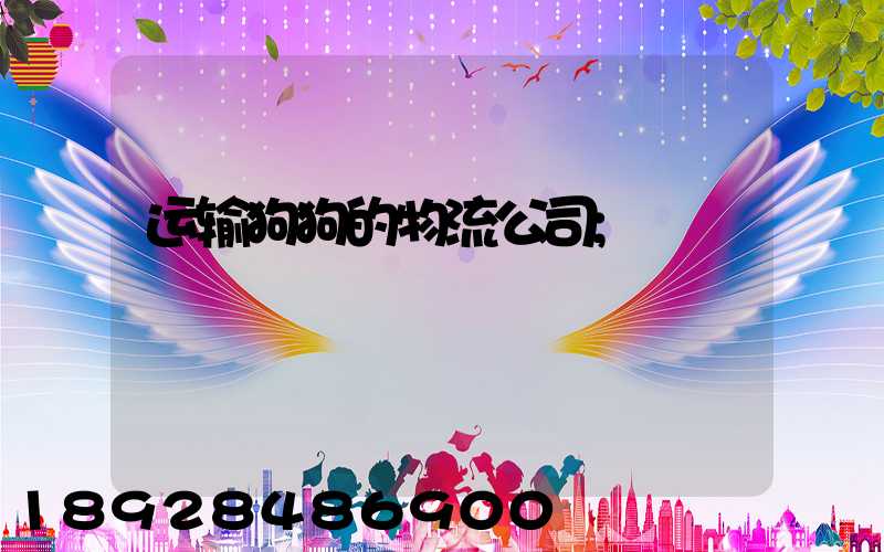 运输狗狗的物流公司