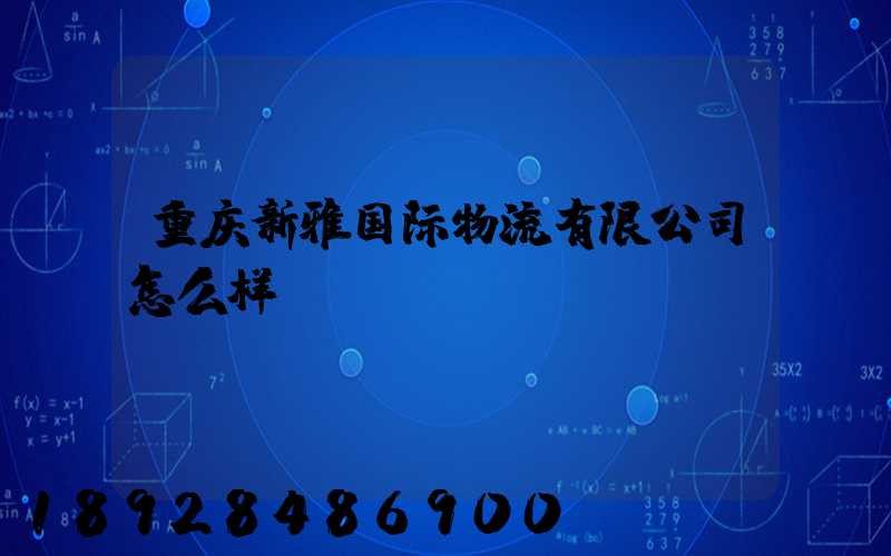 重庆新雅国际物流有限公司怎么样