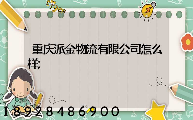 重庆派金物流有限公司怎么样
