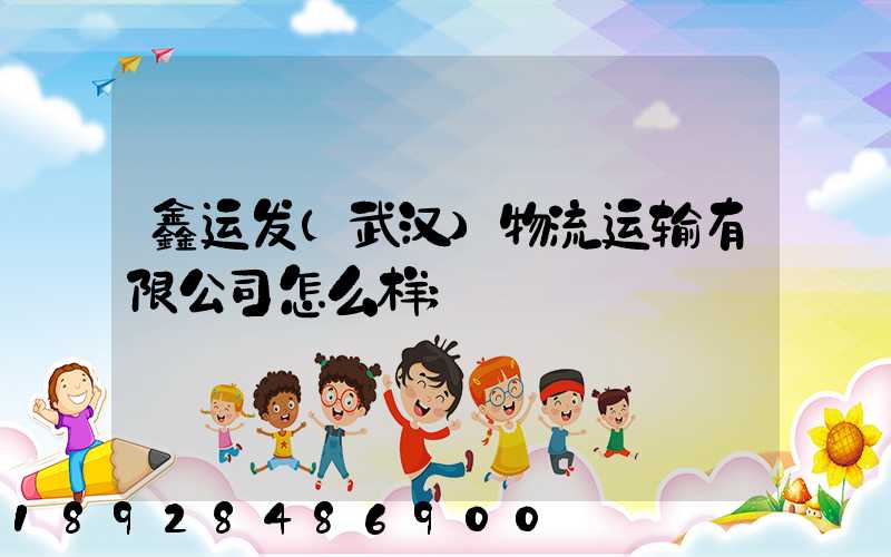 鑫运发(武汉)物流运输有限公司怎么样