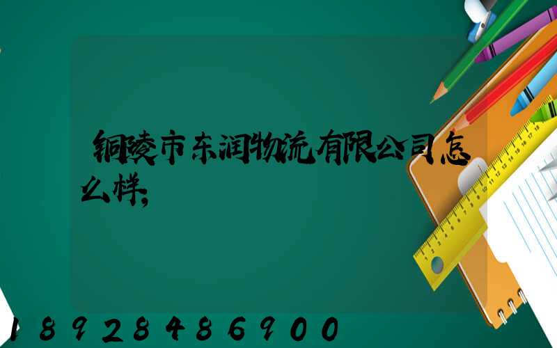 铜陵市东润物流有限公司怎么样