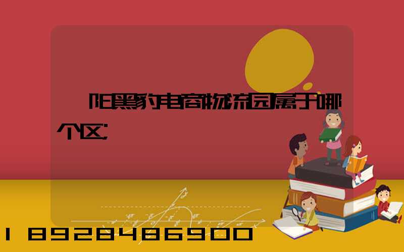 阜阳黑豹电商物流园属于哪个区