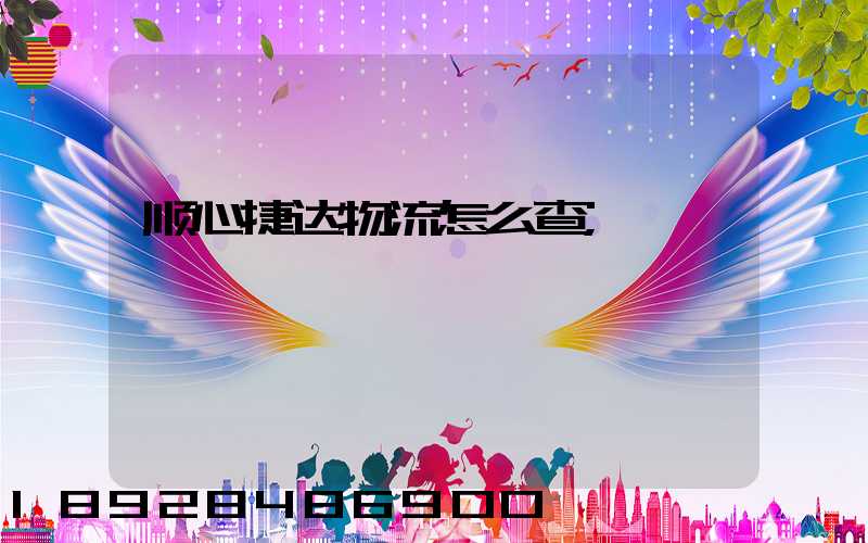 顺心捷达物流怎么查