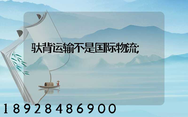 驮背运输不是国际物流