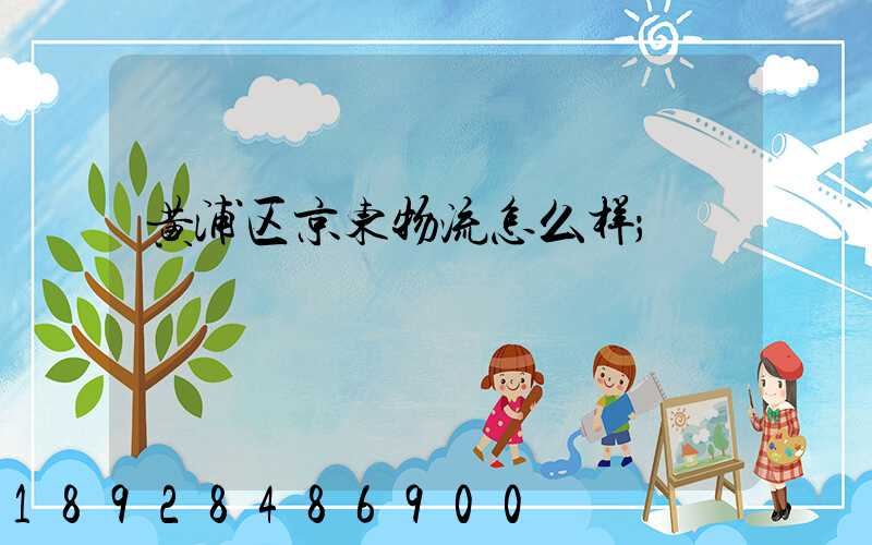 黄浦区京东物流怎么样