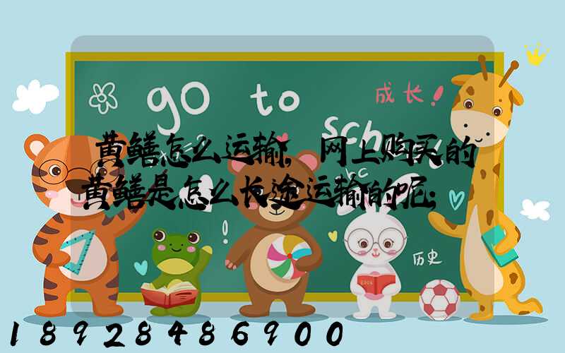 黄鳝怎么运输,网上购买的黄鳝是怎么长途运输的呢