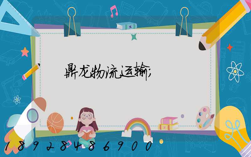 鼎龙物流运输