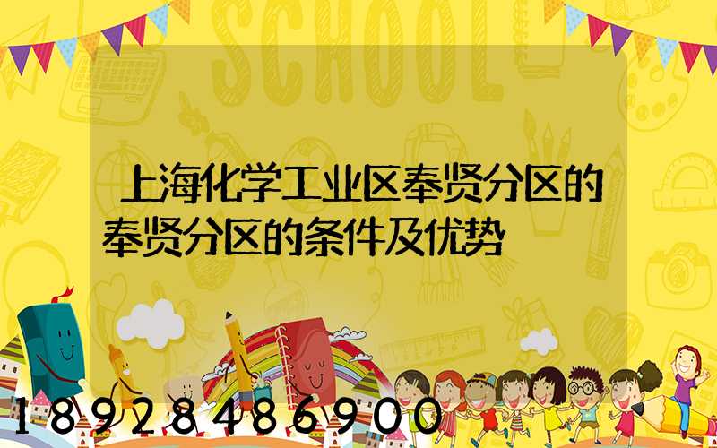 上海化学工业区奉贤分区的奉贤分区的条件及优势