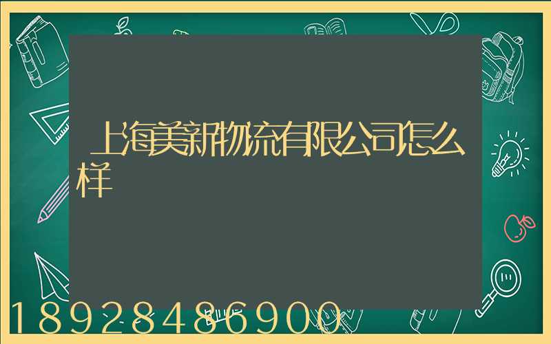 上海美新物流有限公司怎么样
