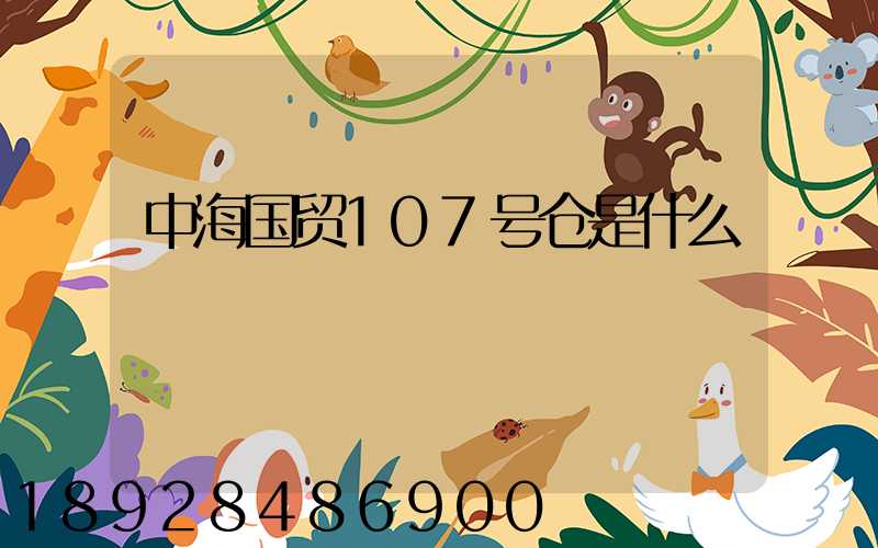 中海国贸107号仓是什么