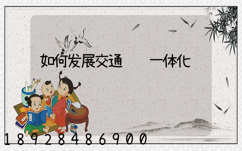 如何发展交通运输一体化