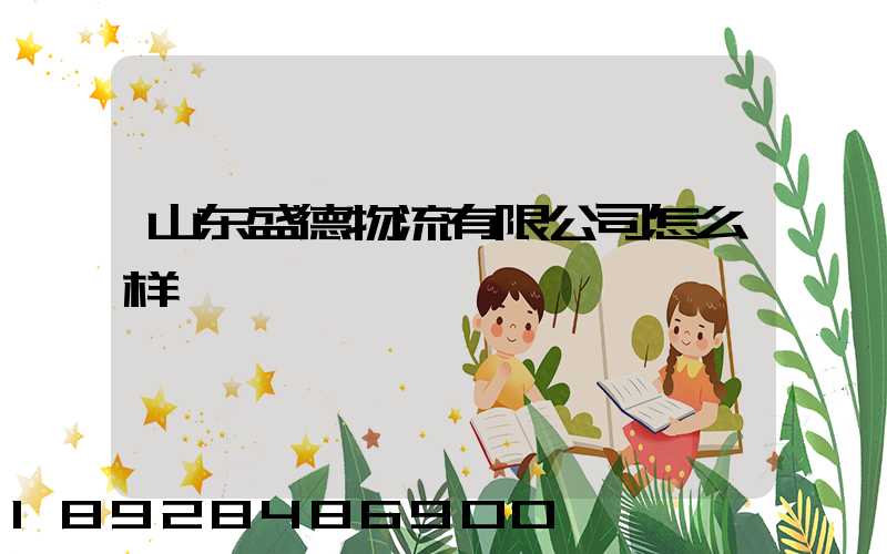 山东盛德物流有限公司怎么样