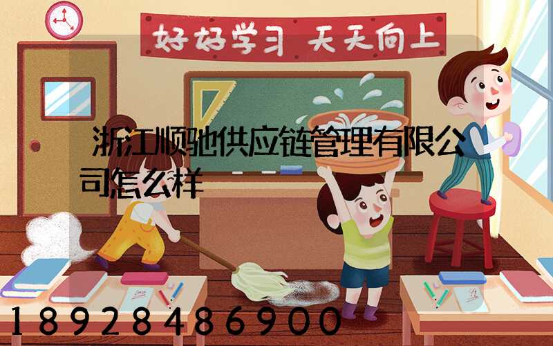 浙江顺驰供应链管理有限公司怎么样